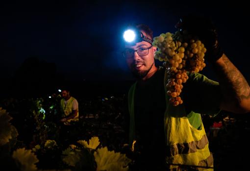 La cuadrilla aprovecha las últimas horas de la noche