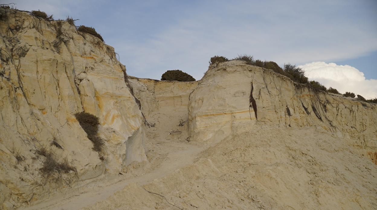 Camino abierto en el médano del Asperillo, Monumento Natural de Andalucía