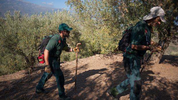 Carrera a contrarreloj de la Guardia Civil para demostrar que Dana fue asesinada por el novio