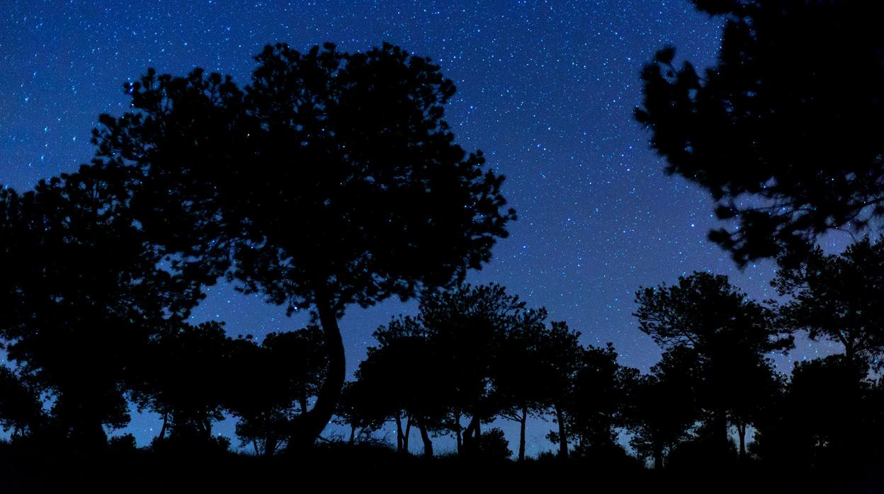 Los Pedroches aprovecha el Día de la Observación de la Luna para potenciar su reserva Starlight