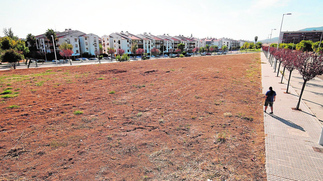 Solar en el que Alsara quiere levantar su nuevo centro comercial