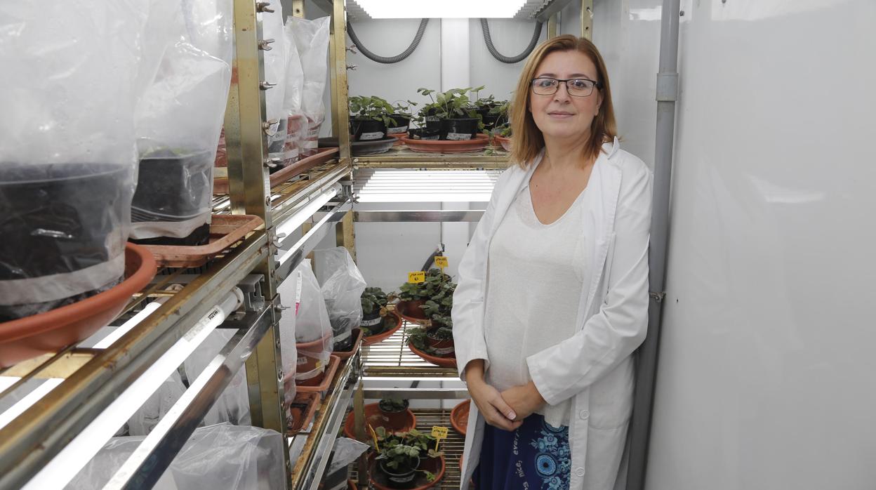 Rosario Blanco en su laboratorio