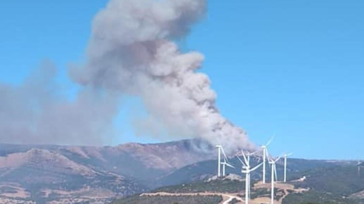 Imagen difundida por el Plan Infoca del incendio de Tarifa