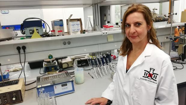 Investigadores de la Universidad de Córdoba: Mª Ángeles Castillejo, genética contra la seca de la encina