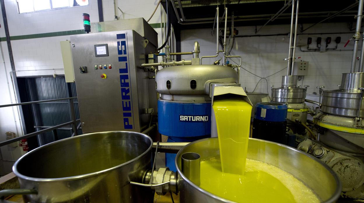 Almazara de aceite en Córdoba