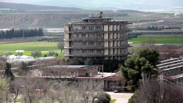 Dos empresas optan a alquilar la Torre de Agrónomos de la Universidad de Córdoba