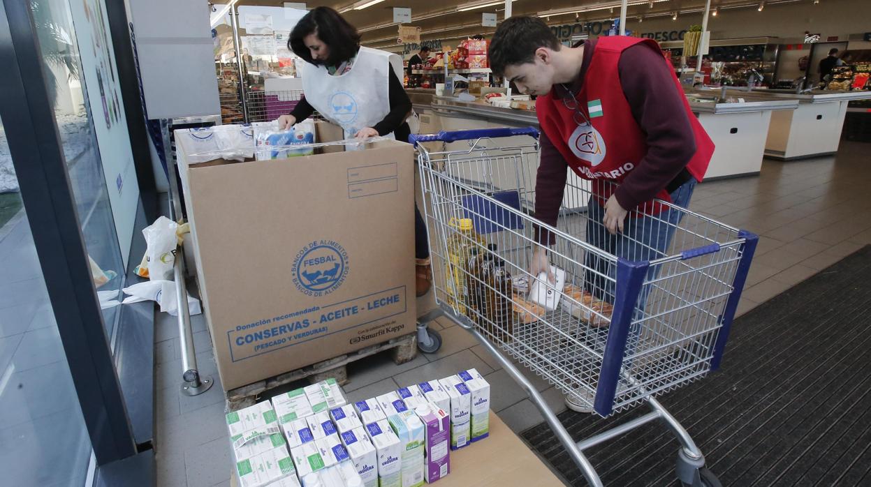 Alimentos en la Gran Recogida en Córdoba en 2018