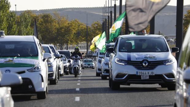 Las licencias VTC crecen más de un 50 por ciento en Córdoba en un año y ya suman 75 vehículos