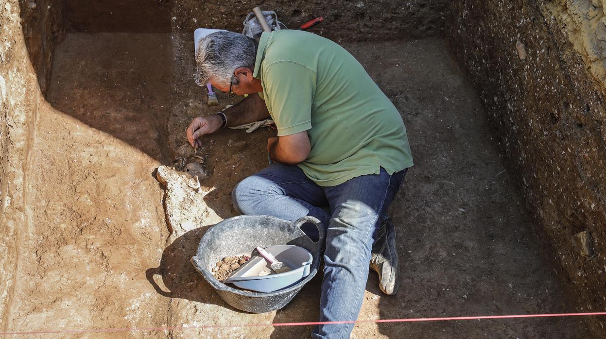 Excavación de una fosa común en un cementerio