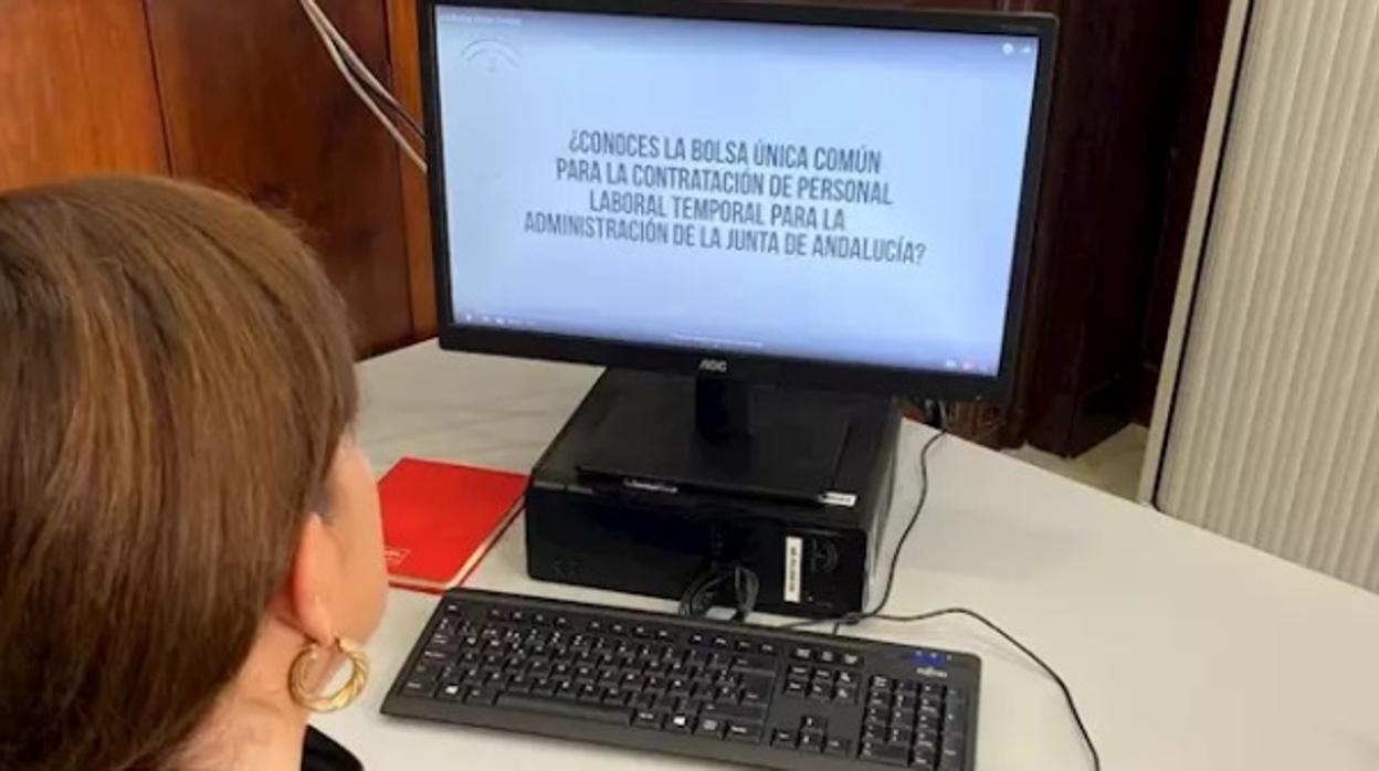 Una joven busca información sobre la Bolsa Única Común de la Junta