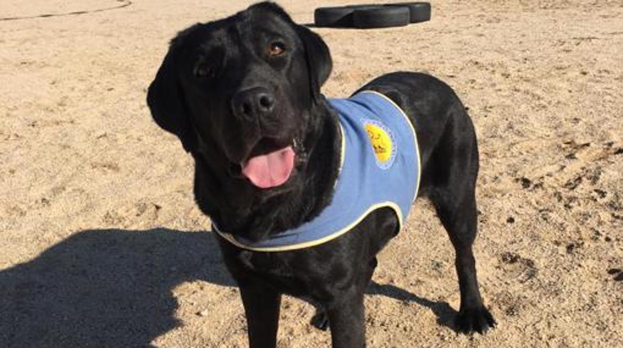 Pocahontas durante su adiestramiento para estar con Clara