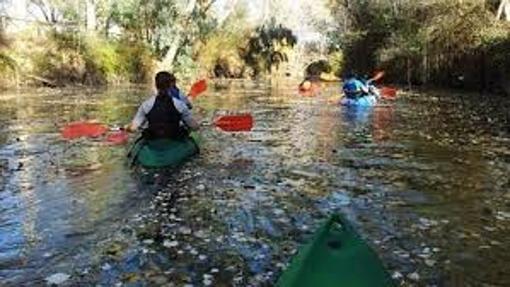 San Valentín 2020 | Los mejores planes para celebrar el 14 de febrero en Córdoba