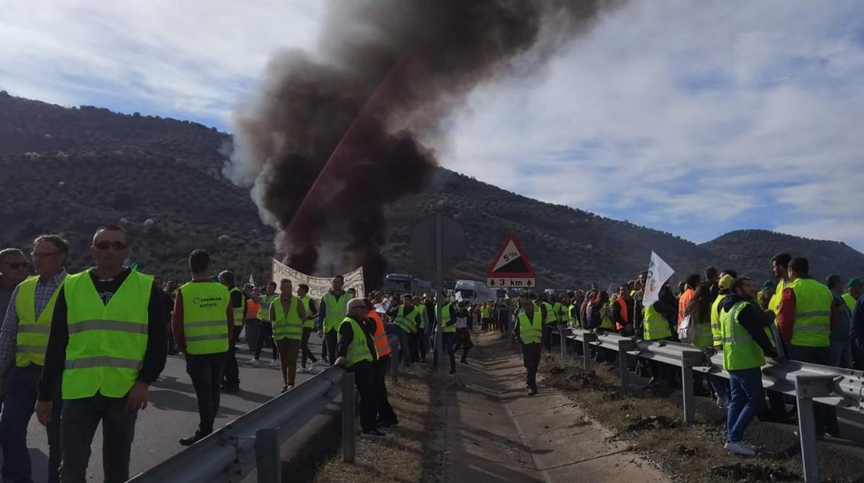 Movilizaciones del sector olivarero en Jaén