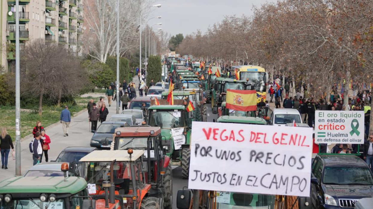 Centenares de tractores, en la calle Joaquina Eguaras, junto a la Delegación de Agricultura en Granada