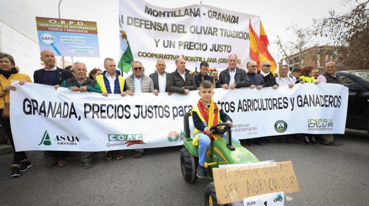 Cabecera de la multitudinaria manifestación que este miércoles recorre Granada.