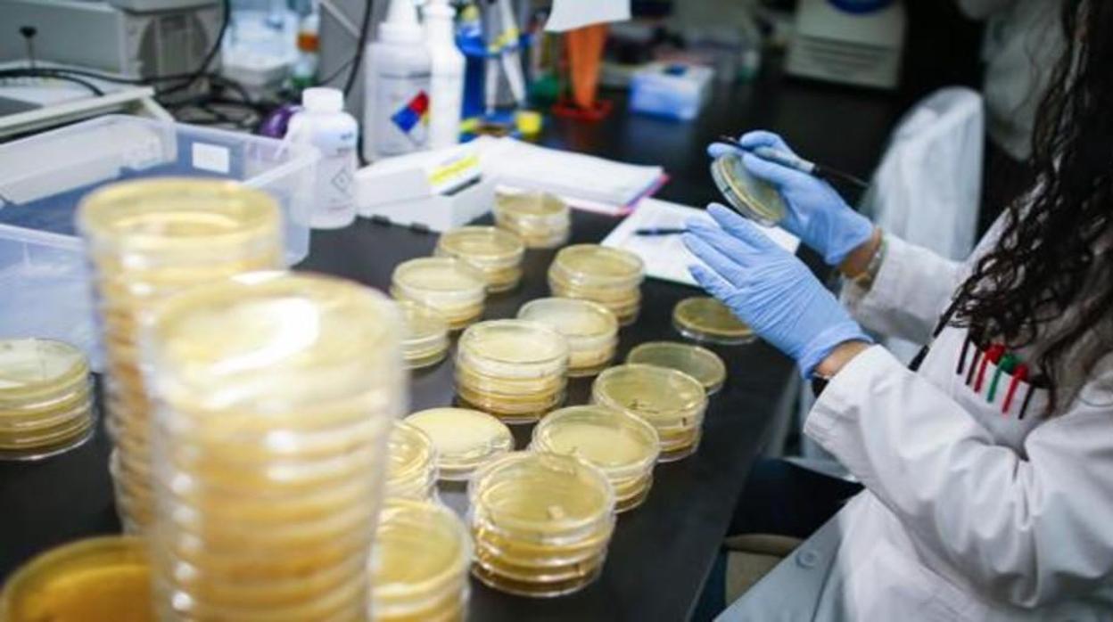 Laboratorio de análisis