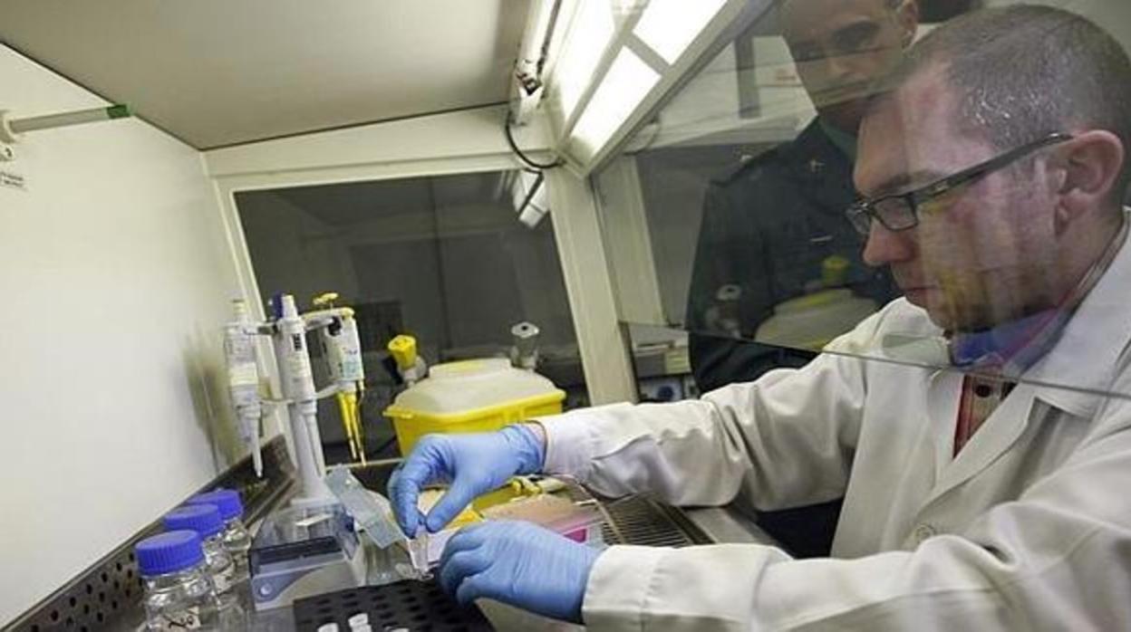 Científico trabajando en el laboratorio