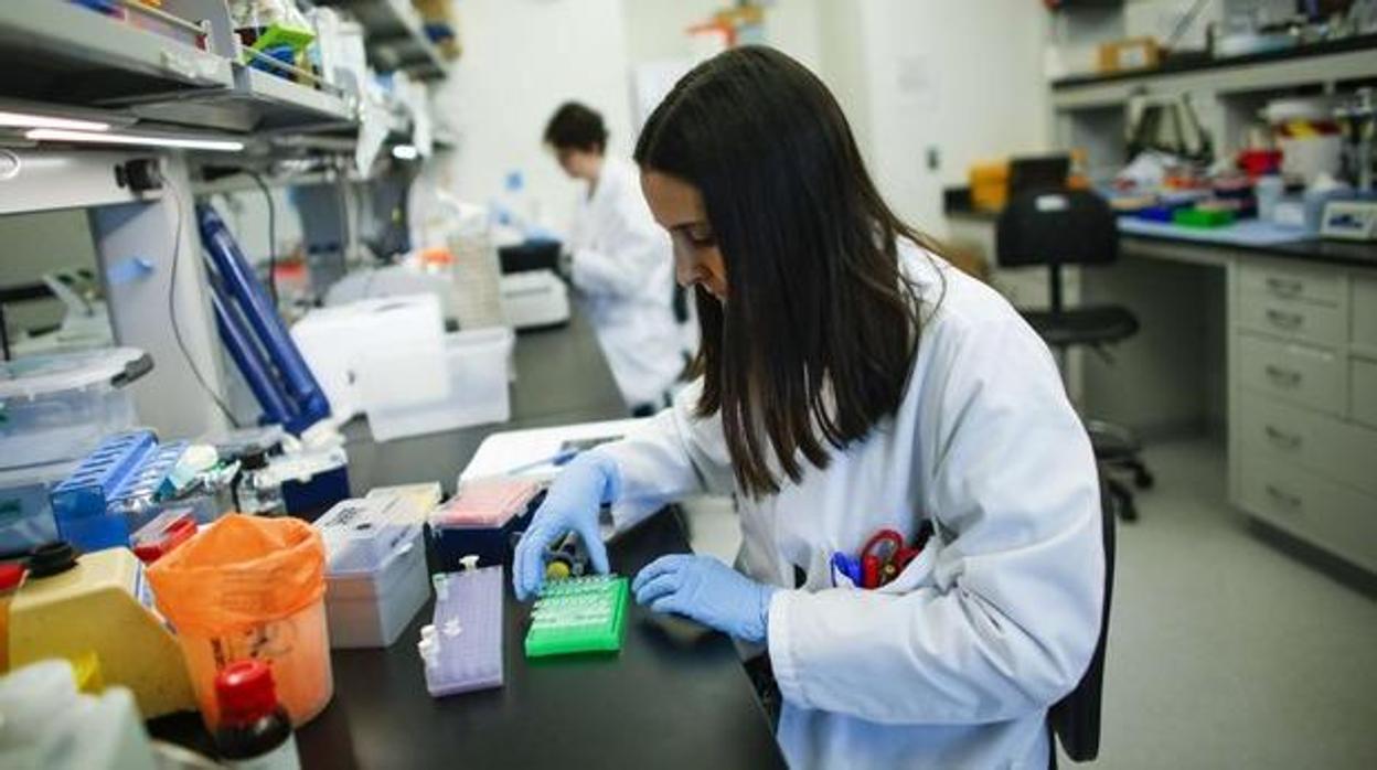 Una científica trabaja en su laboratorio