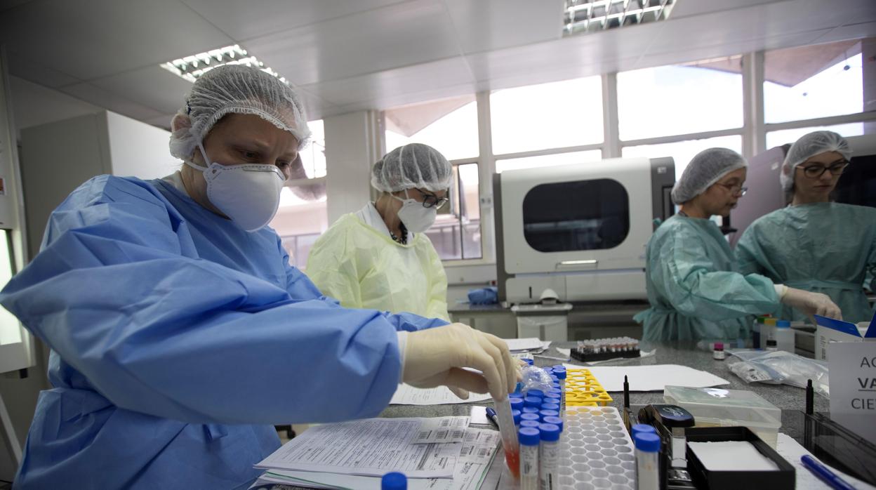 Trabajadores de un laboratorio estudian pruebas de COVID-19