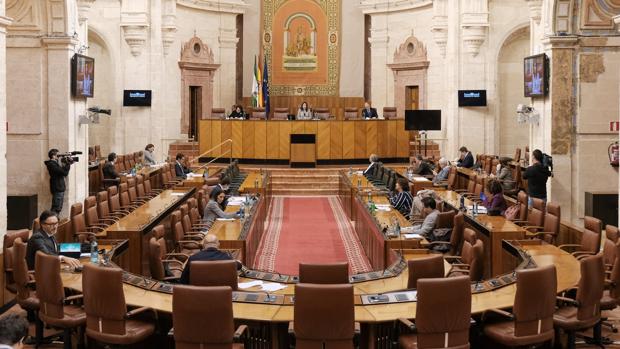 El Parlamento andaluz da luz verde al decreto que reduce la maraña burocrática de la Junta de Andalucía