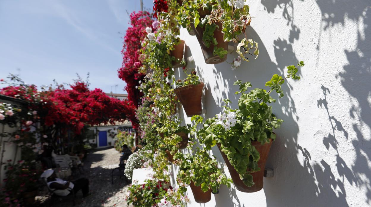 Imagen del patio de Marroquíes, 6 tomada este sábado, en pleno confinamiento