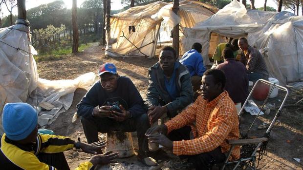 Un centenar de inmigrantes de los asentamientos se ha empadronado en sus chabolas de Lepe