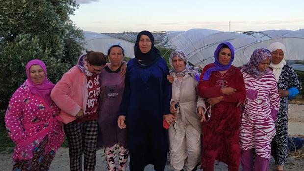 Marruecos bloquea el regreso de 7.200 temporeras que han acabado la recogida de la fresa