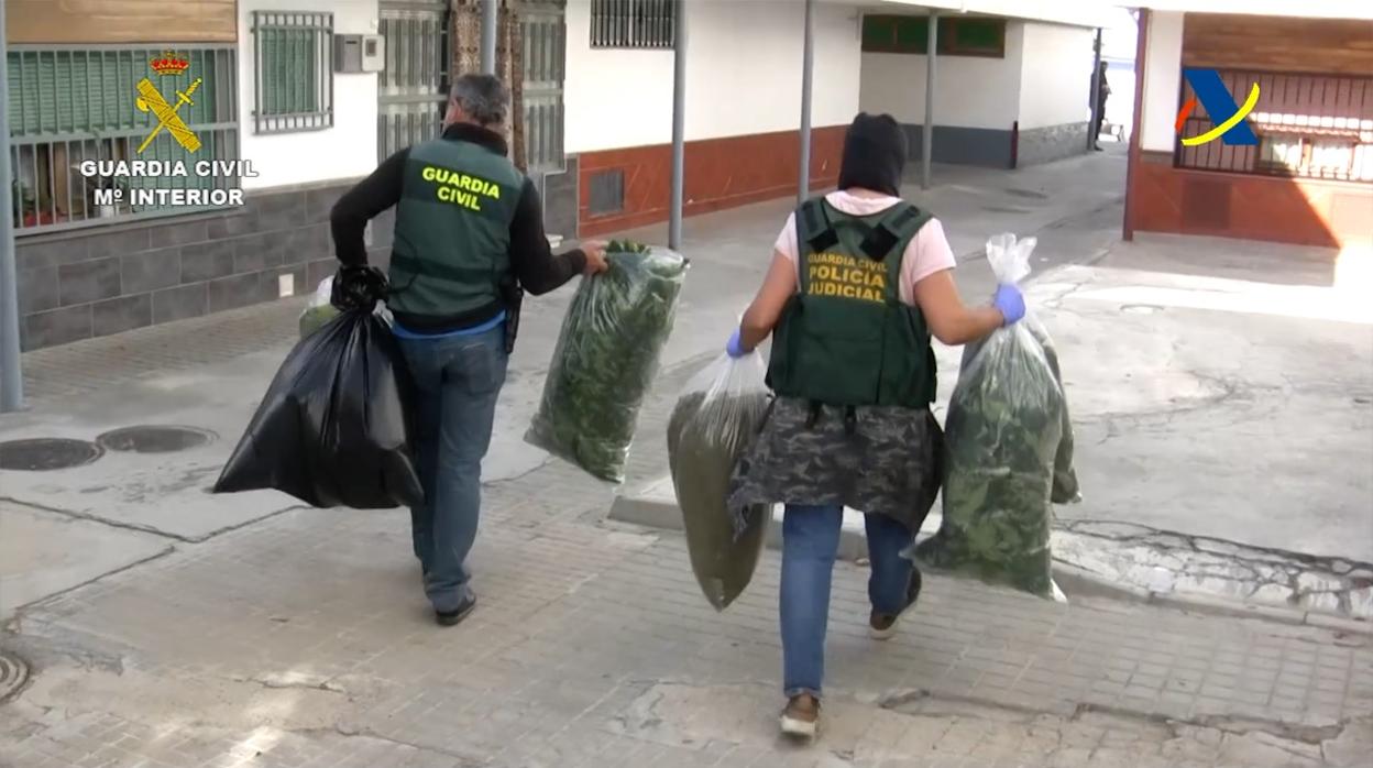 Agentes de la Guardia civil durante uno de los registros en la plantación de marihuana.