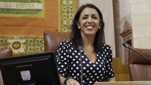 El Parlamento andaluz destina el 0,7% de su presupuesto a ayudas sociales por la Covid-19