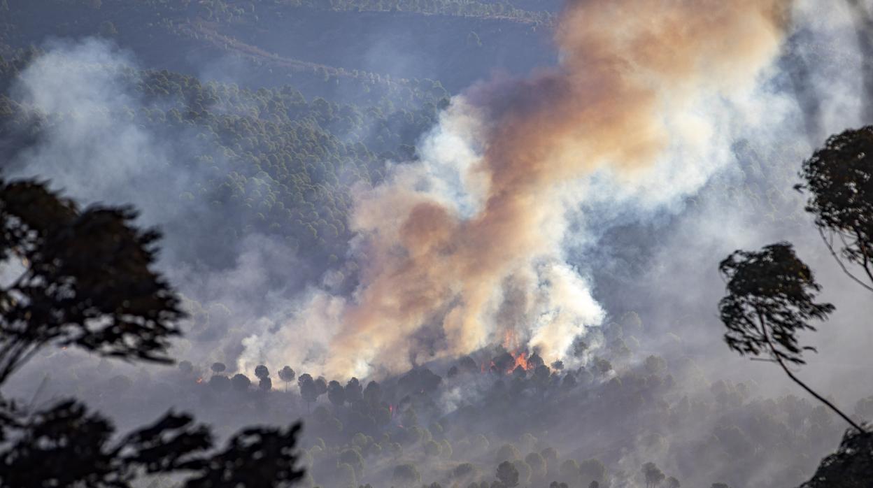 Uno de los focos activos del incendio en la Sierra de Huelva