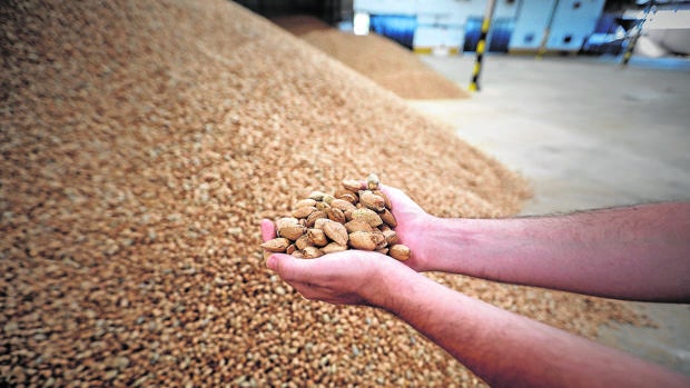 La producción integrada de Córdoba crece un 21 por ciento en ocho años