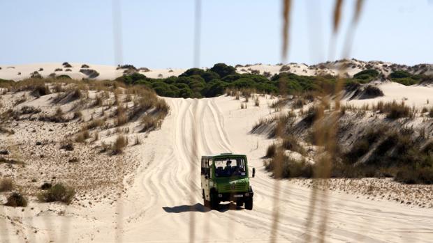 Conoce Doñana en 4x4