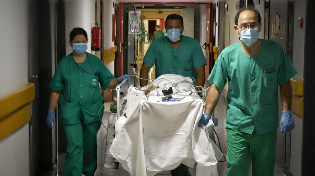 Sanitarios trasladando a un paciente en Córdoba