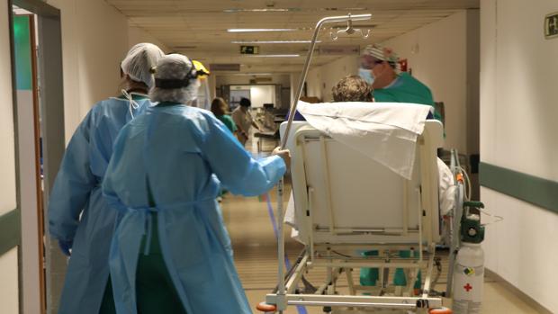 Salud notifica cuatro muertes más por Covid en Córdoba, que supera los 500 fallecimientos