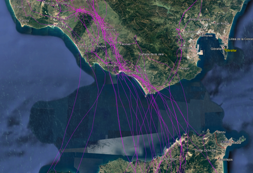 Itinerario de vuelo de estas aves
