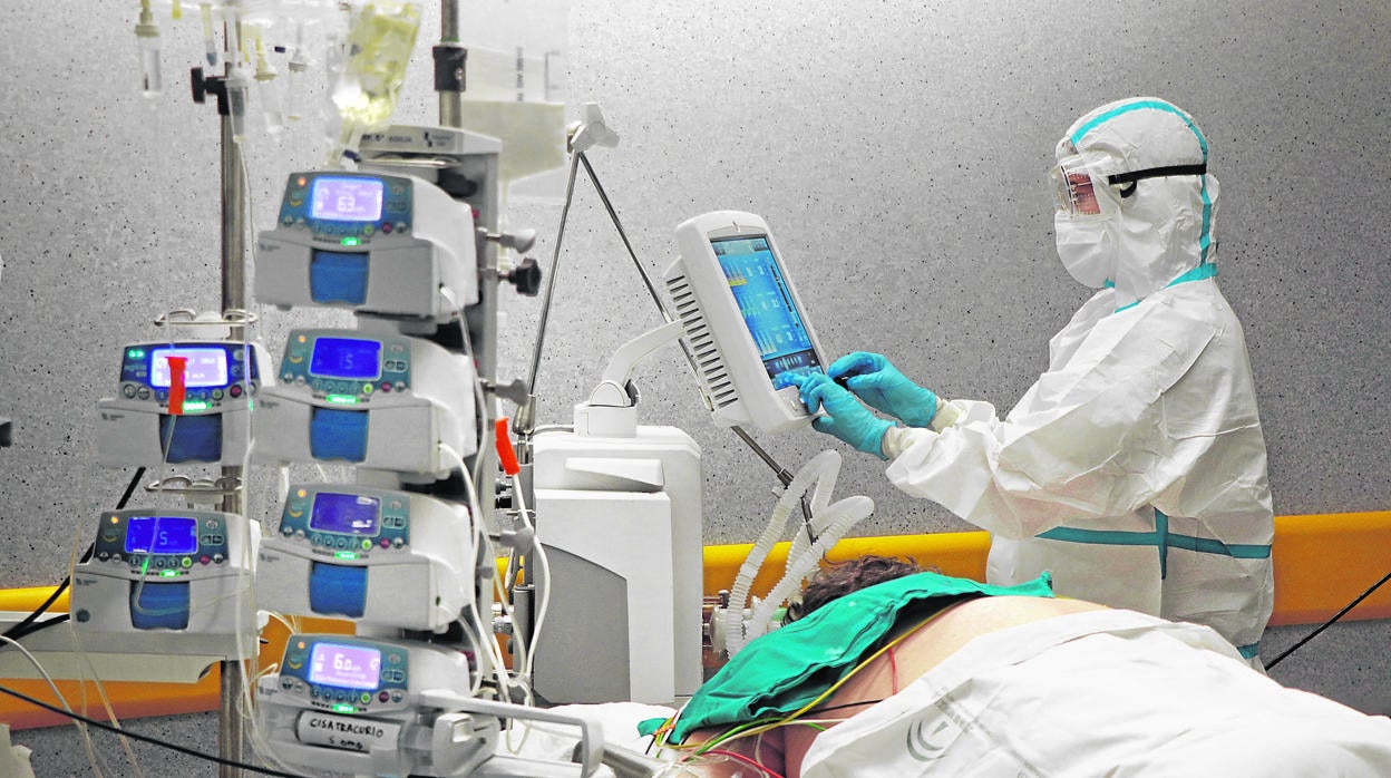 Coronavirus | El año que vivimos peligrosamente