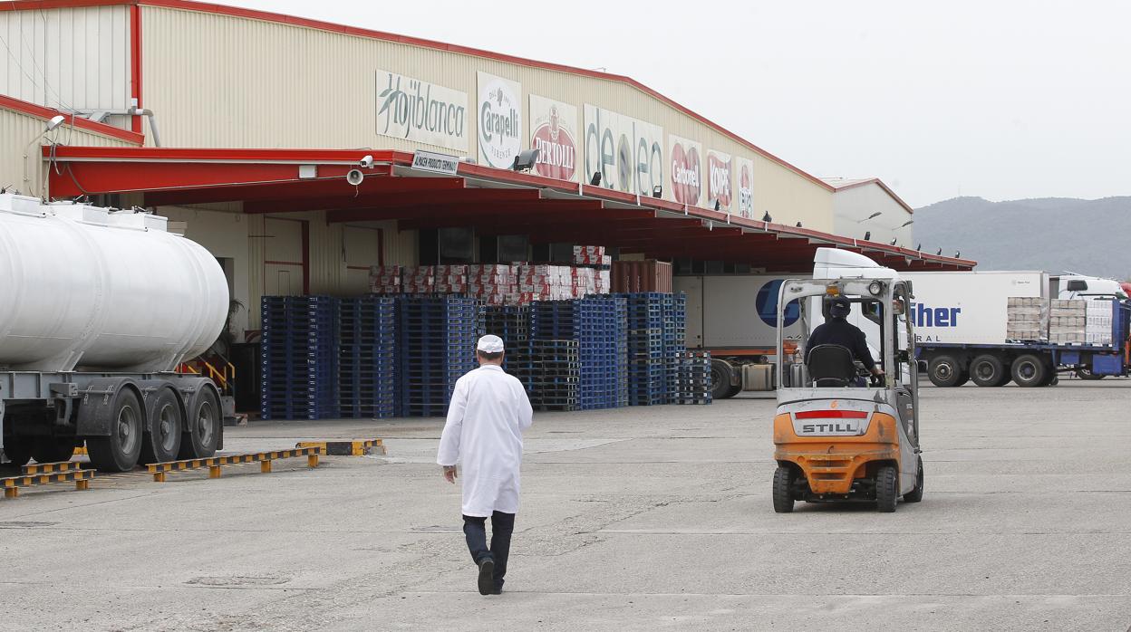 Fábrica de Dcoop en el polígono del Aceite