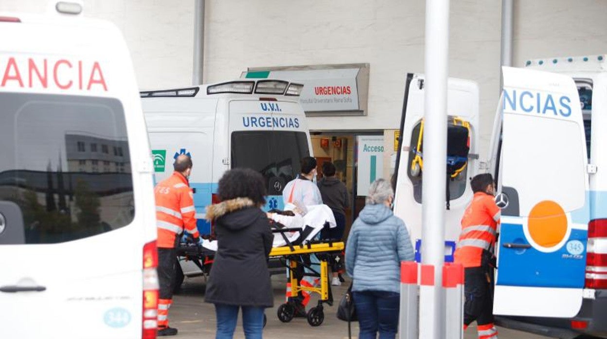 Ingresos en Urgencias del Hospital Reina Sofía