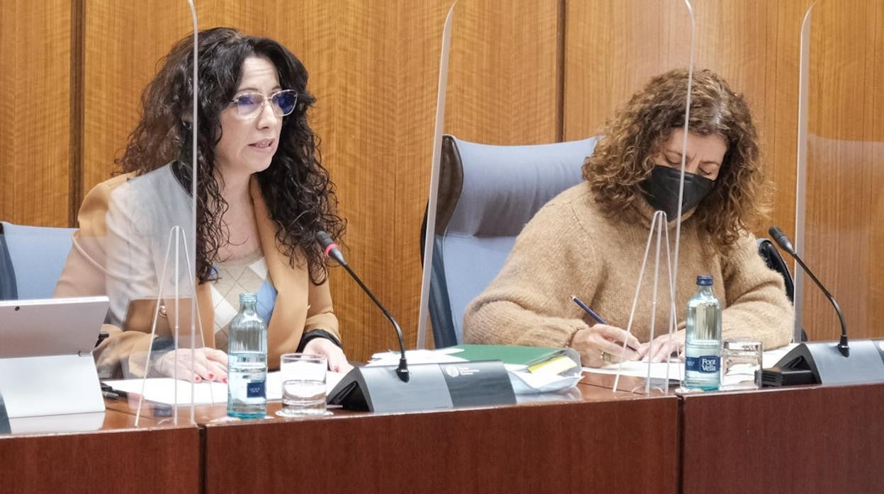 La conseejra de Igualdad, Rocío Ruiz