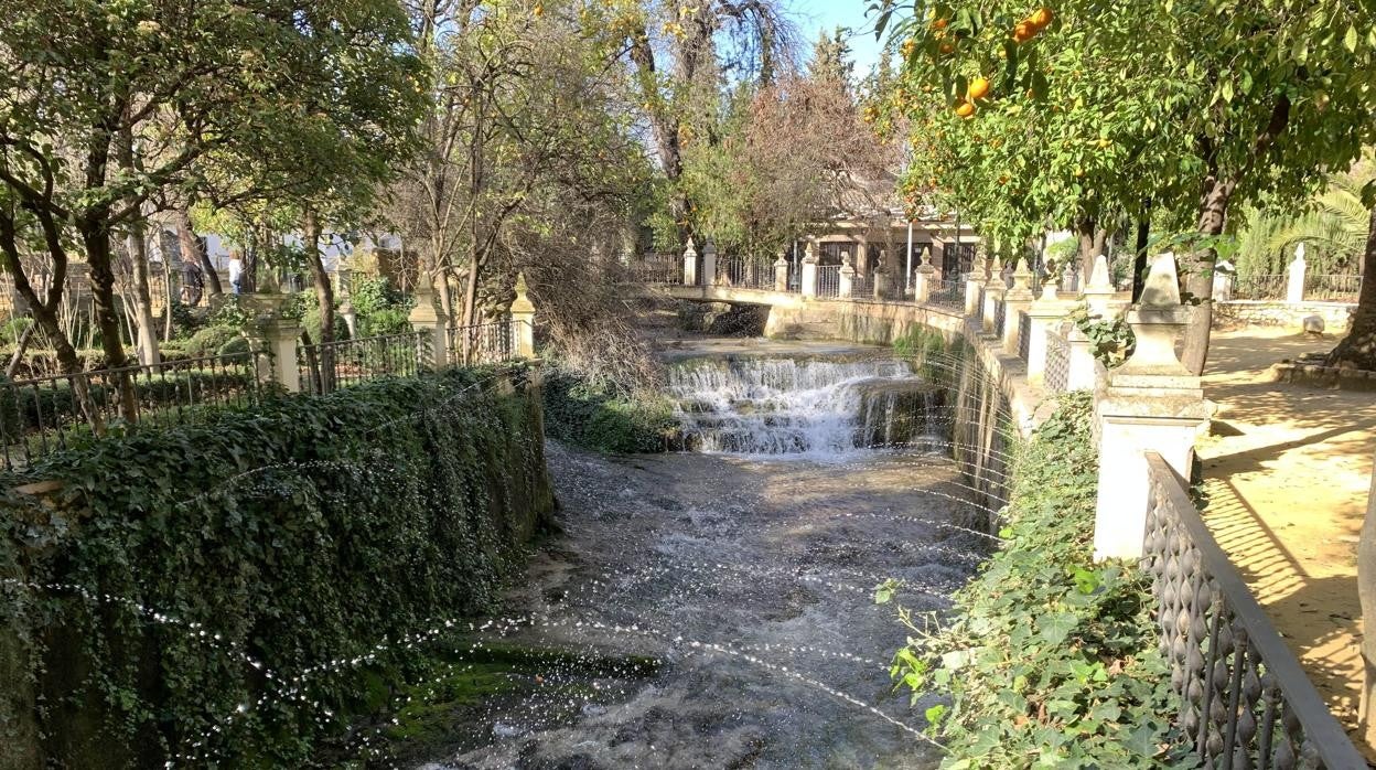 Aspecto que presenta la Fuente del Río estos días, en Cabra