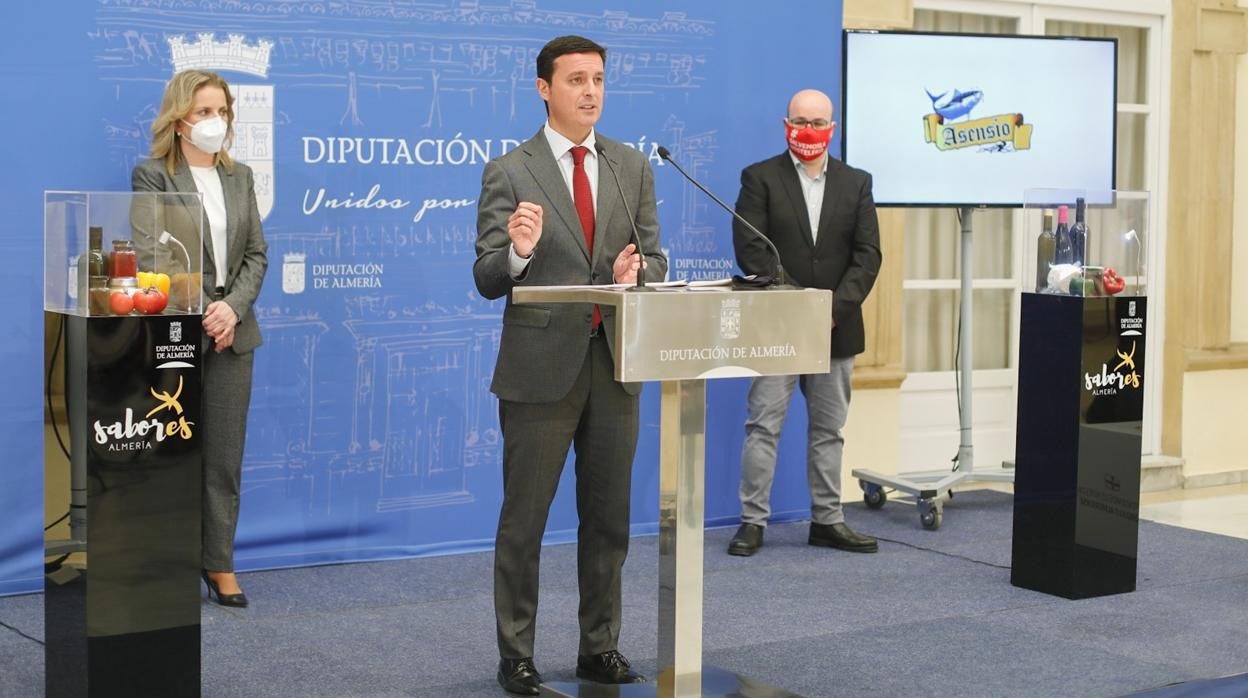 El presidente de la Diputación de Almería durante la presentación del plan de ayudas a la hostelería.