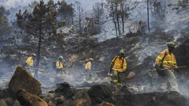 La Junta de Andalucía incluye a los bomberos forestales en el programa de vacunación contra el covid