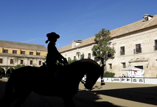 Urbanismo tiene consignados tres millones para la expropiación de Caballerizas Reales