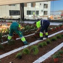El mantillo incautado se usó para jardinería