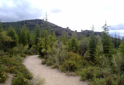 Diez espectaculares senderos naturales para recorrer en la provincia de Granada