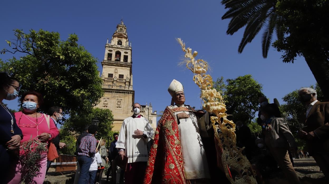 El obispo, Demetrio Fernández, durante la procesión de las palmas en la Catedral de Córdoba