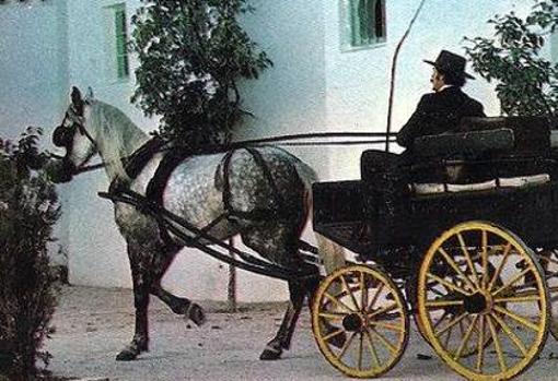 Un fotograma de la cinta que se basa en la novela de Juan Valera