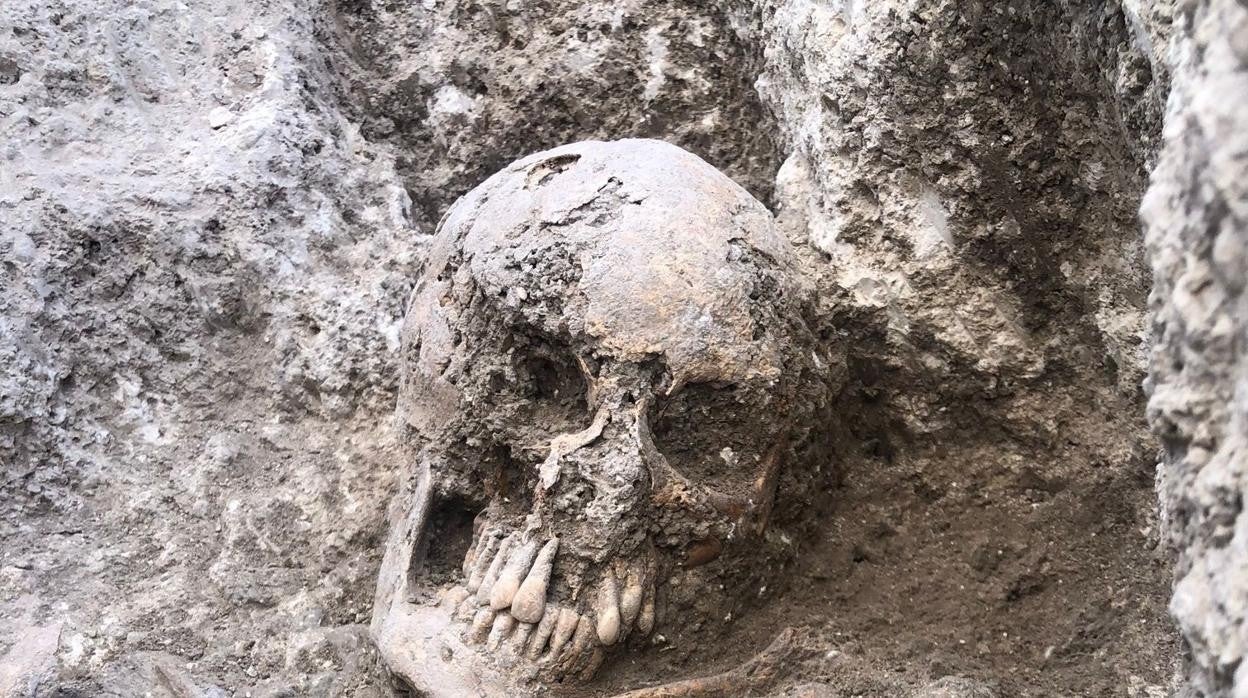 Restos descubiertos en el yacimiento arqueológico