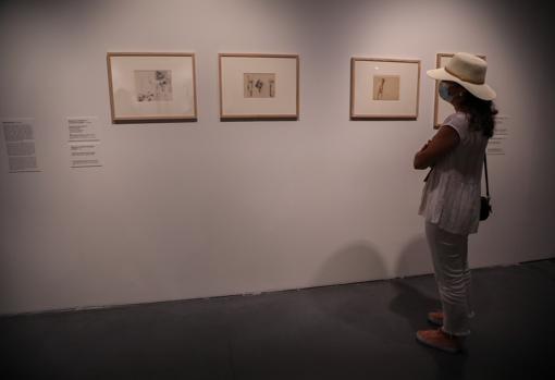Dibujos y bocetos