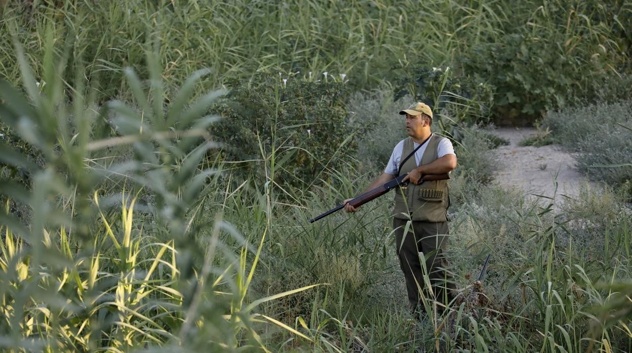 Un cazador en un coto del Sur de Córdoba